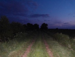 Avon Paranormal Team - The Sedgemoor Battlefield